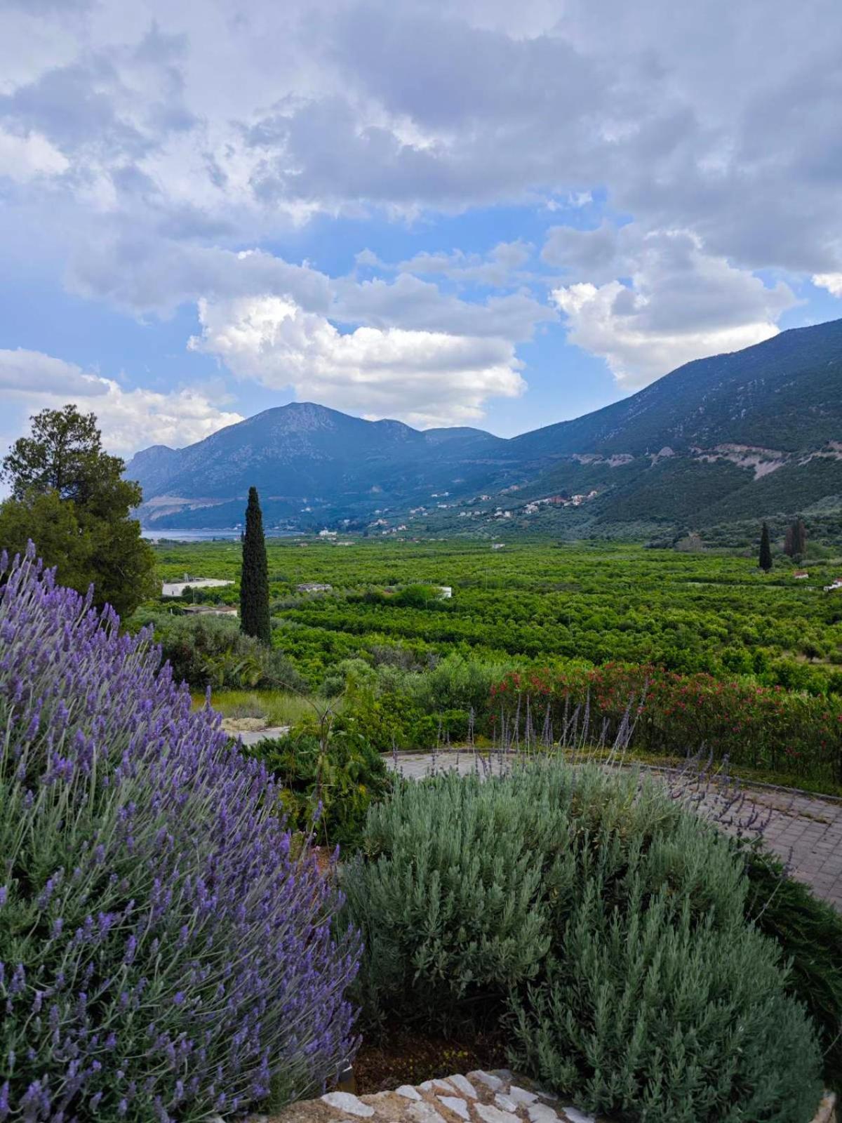 Melissafarm Guest House Epidaurus ภายนอก รูปภาพ